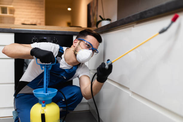 Wasp Removal Services in Cardington, OH